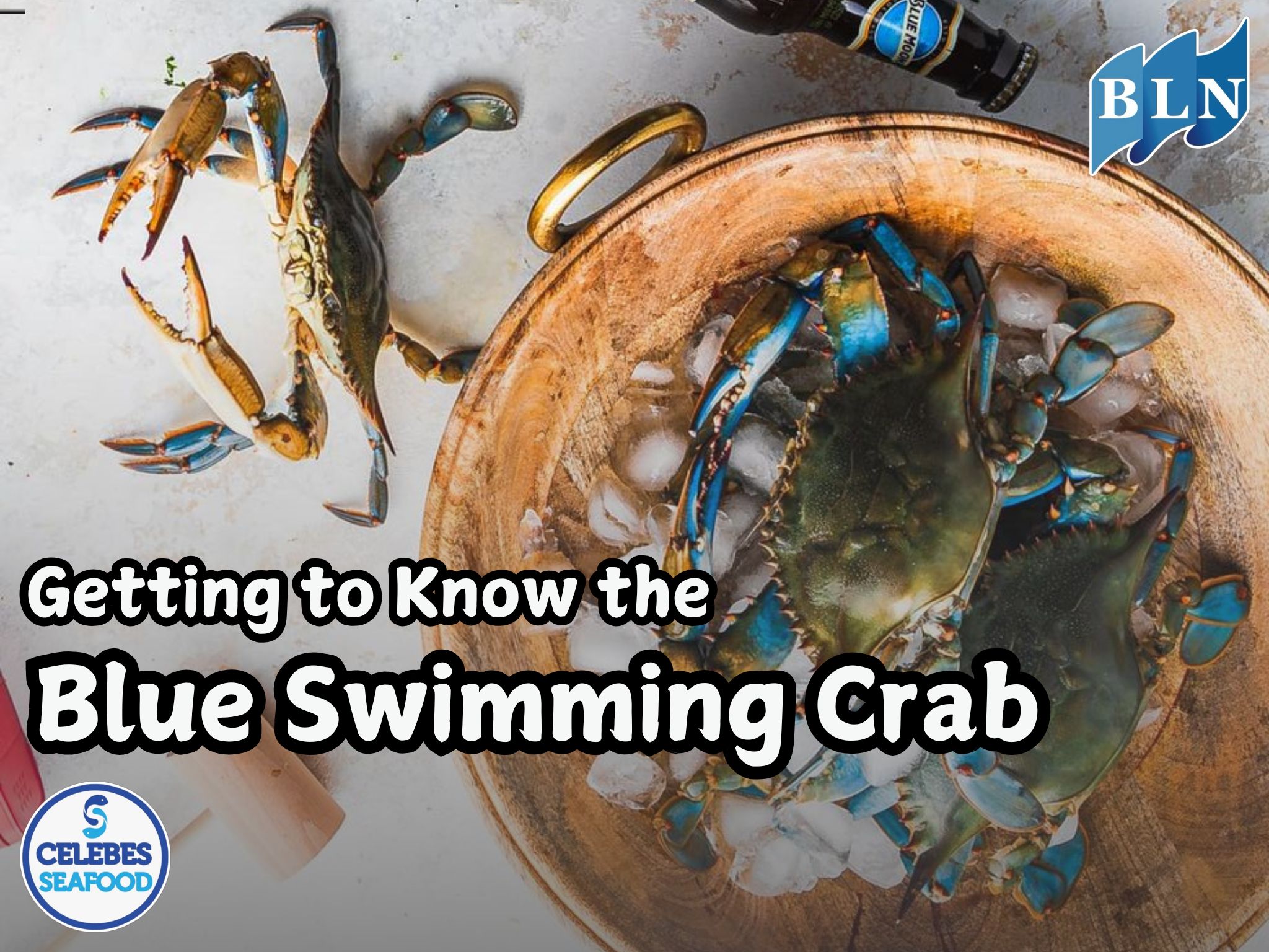 Getting to Know the Blue Swimming Crab: Characteristics and Benefits